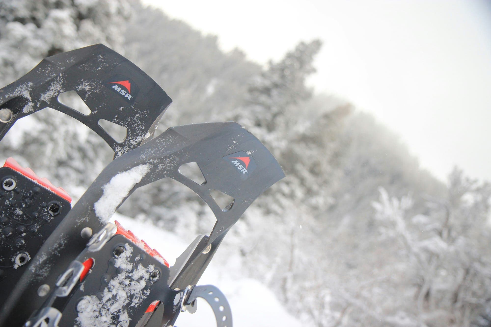 Snowshoeing: Proof You Can Love Winter