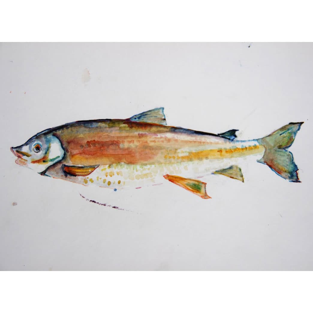 Canoes and Cold Hands