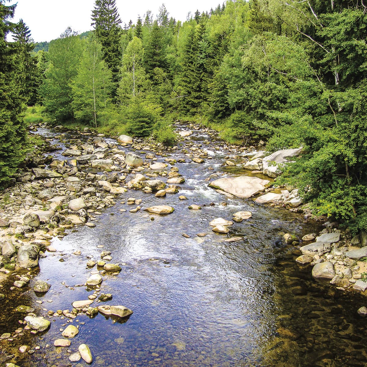 Not Your Typical Stag and Hen Escape