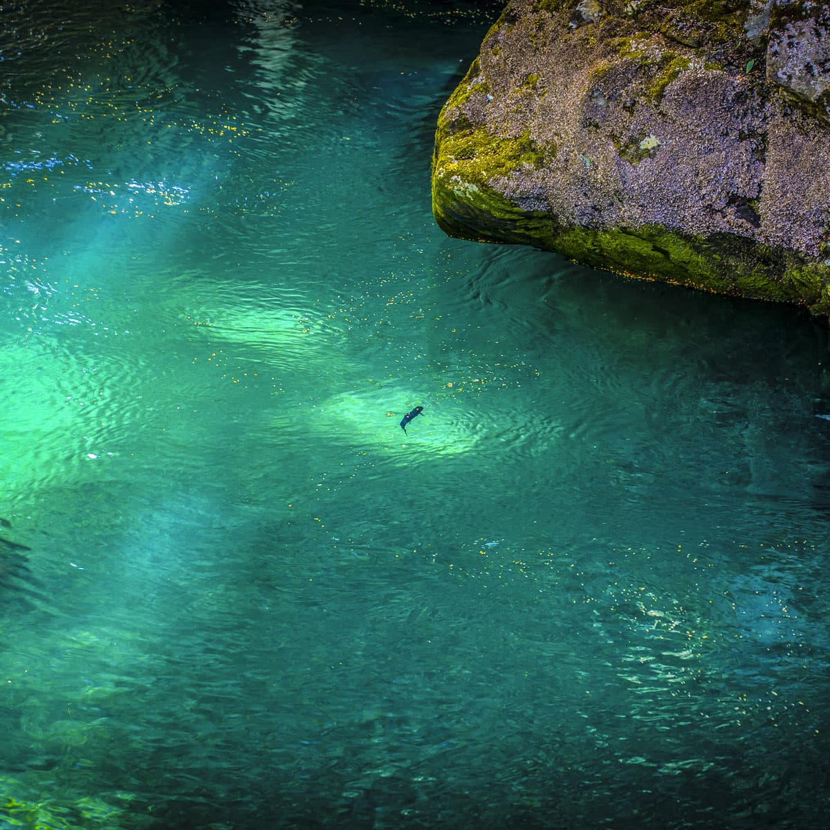 New Zealand Reflections