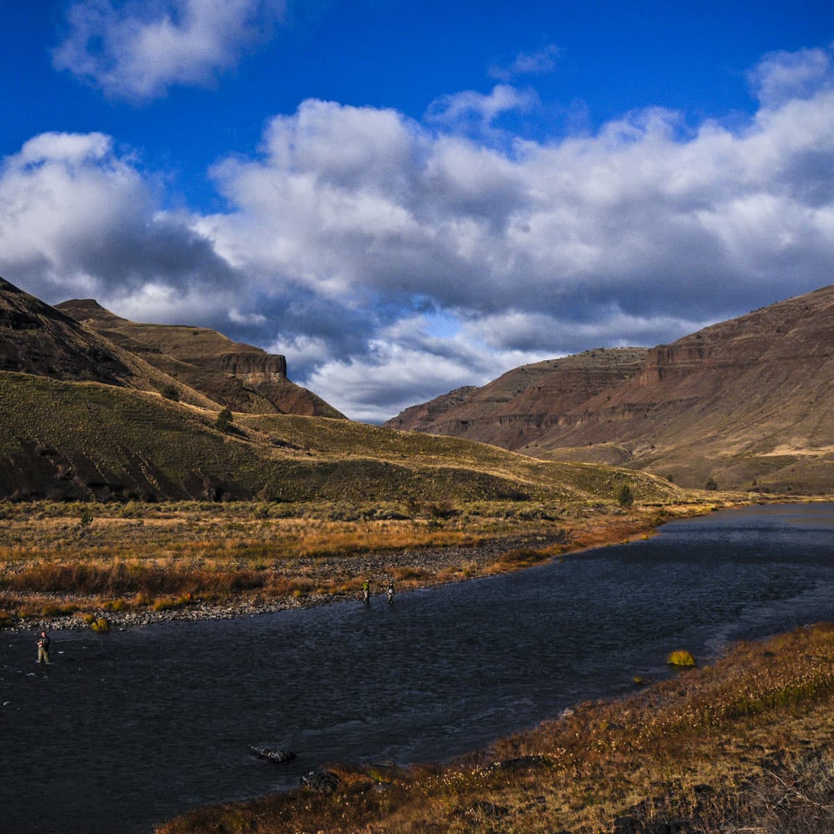 Path to Conservation