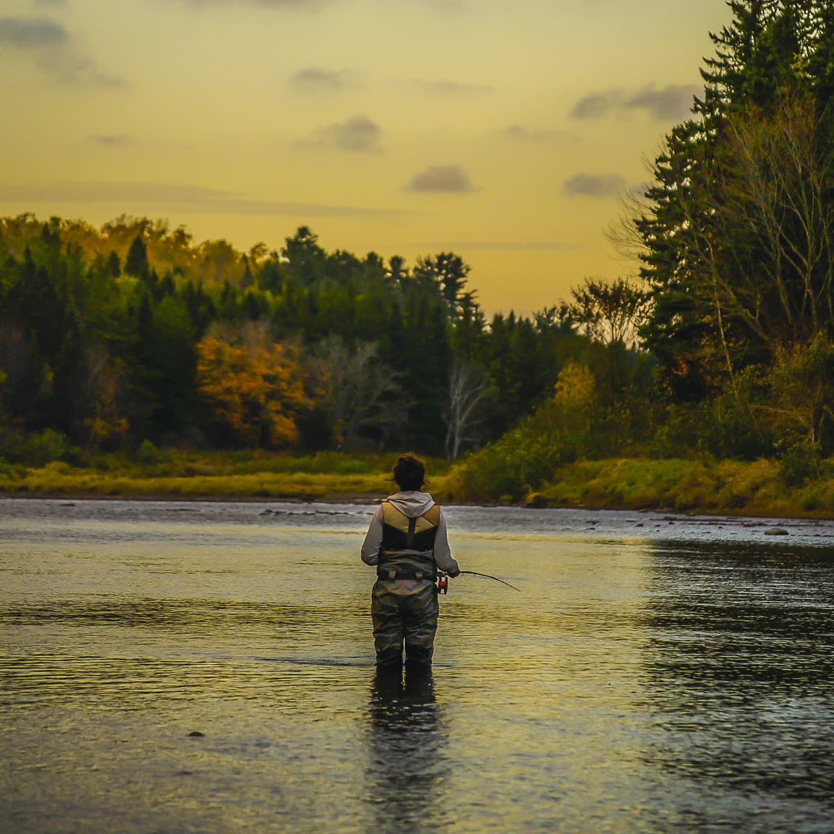 The Ritual of Salmon Fishing