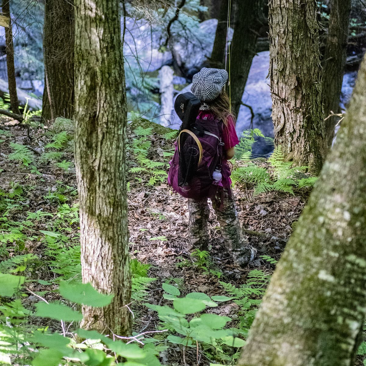 Adirondack Mountains, New York USA