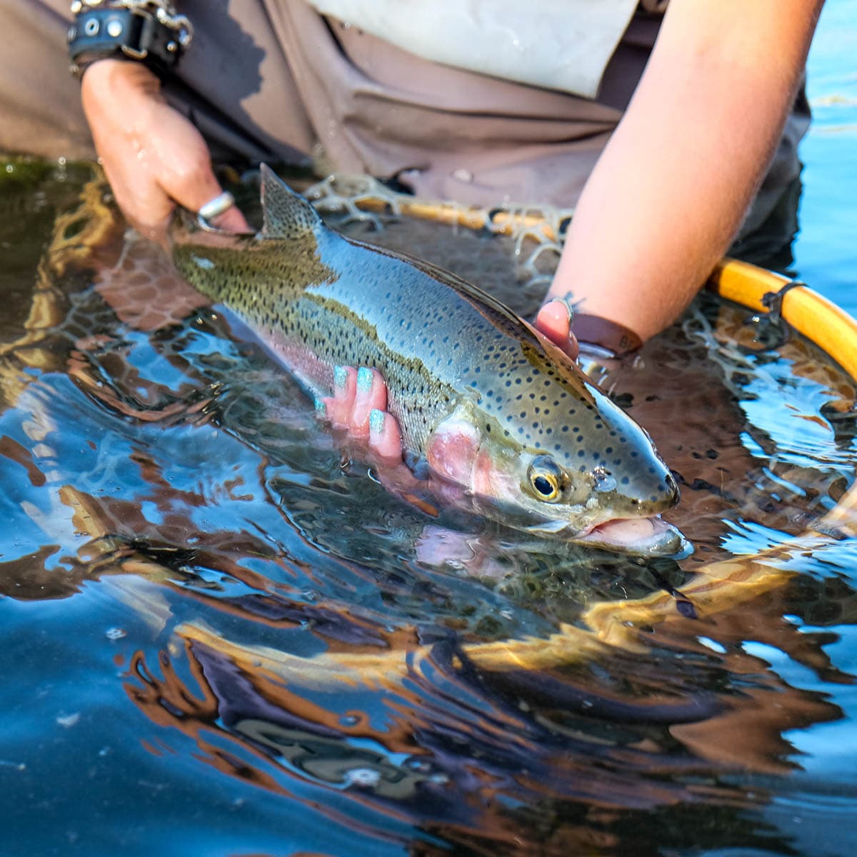 5 Ways to Experience Casper, Wyoming