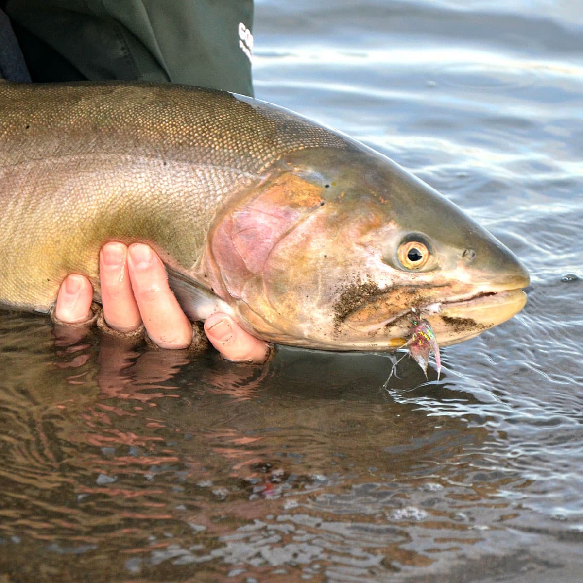 Unlocking the Mysterious Pyramid
