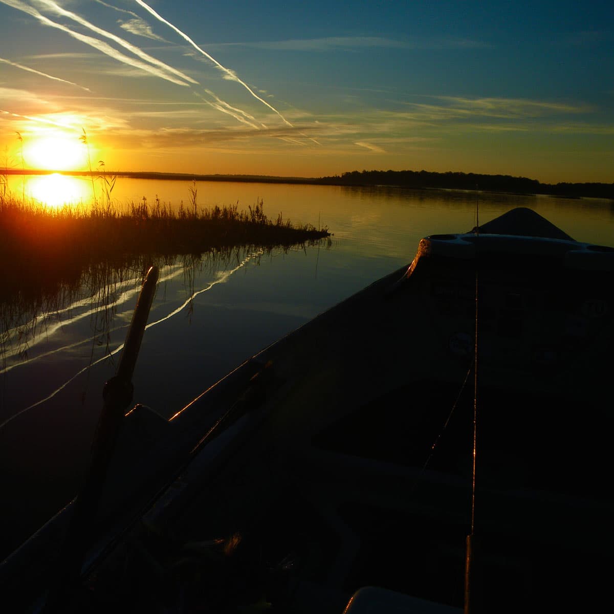 Returning to Home Waters