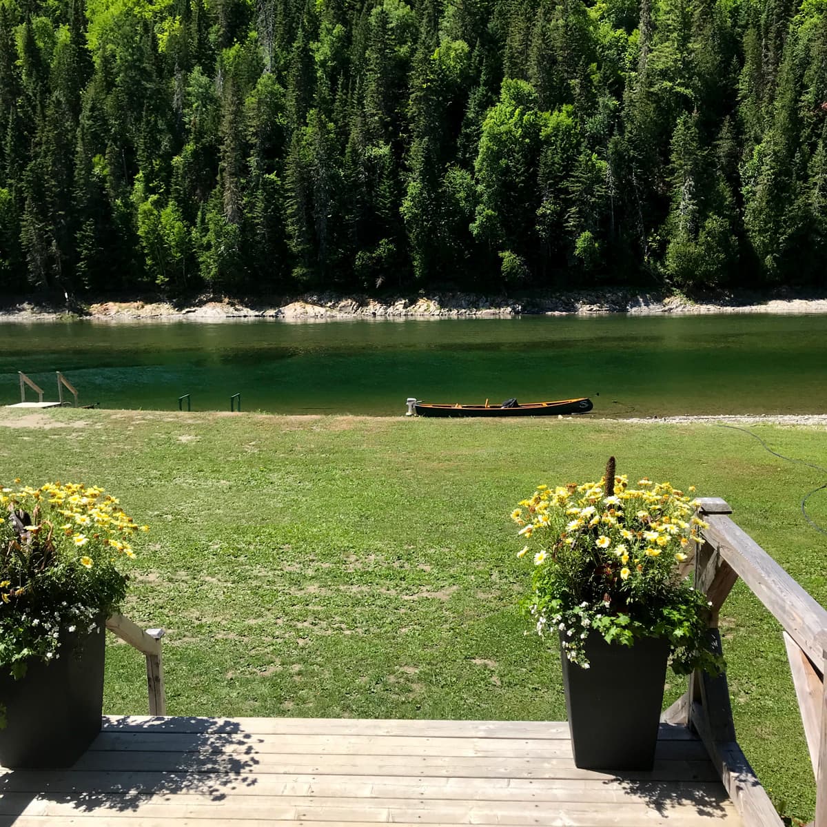 Sun Protection - More than Skin Deep