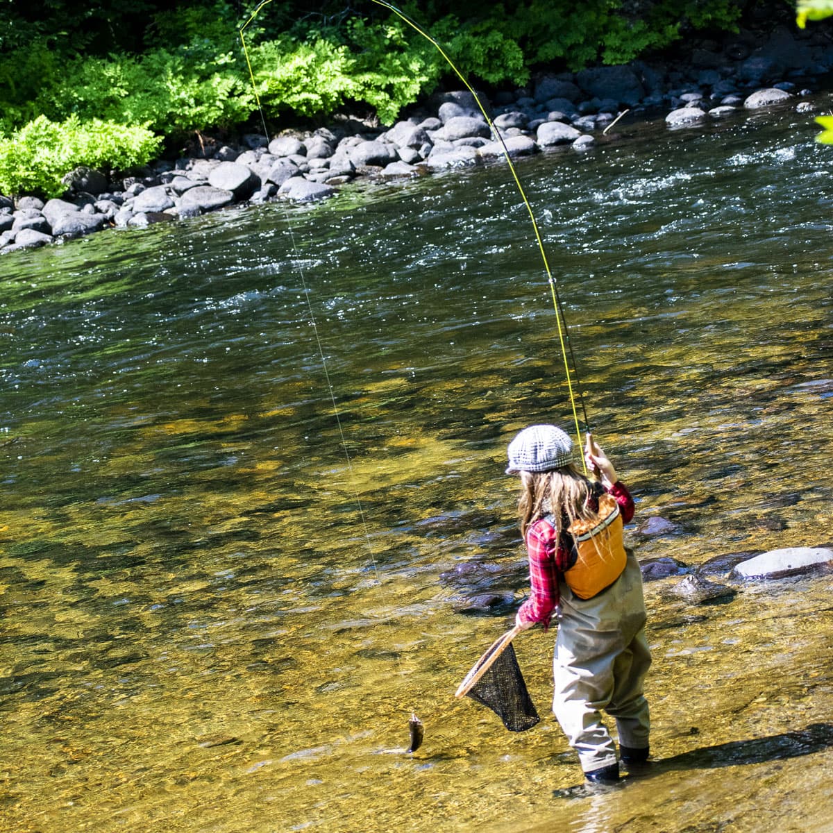 Brook Trout & Blueberry Pie