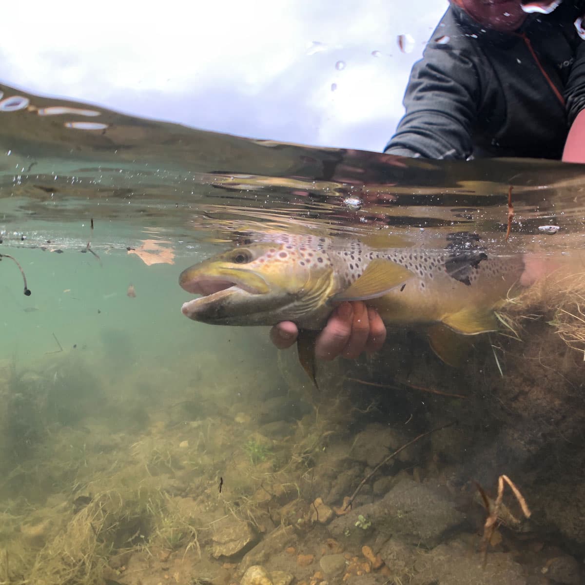 10 Gifts for the Dad Who Has Everything