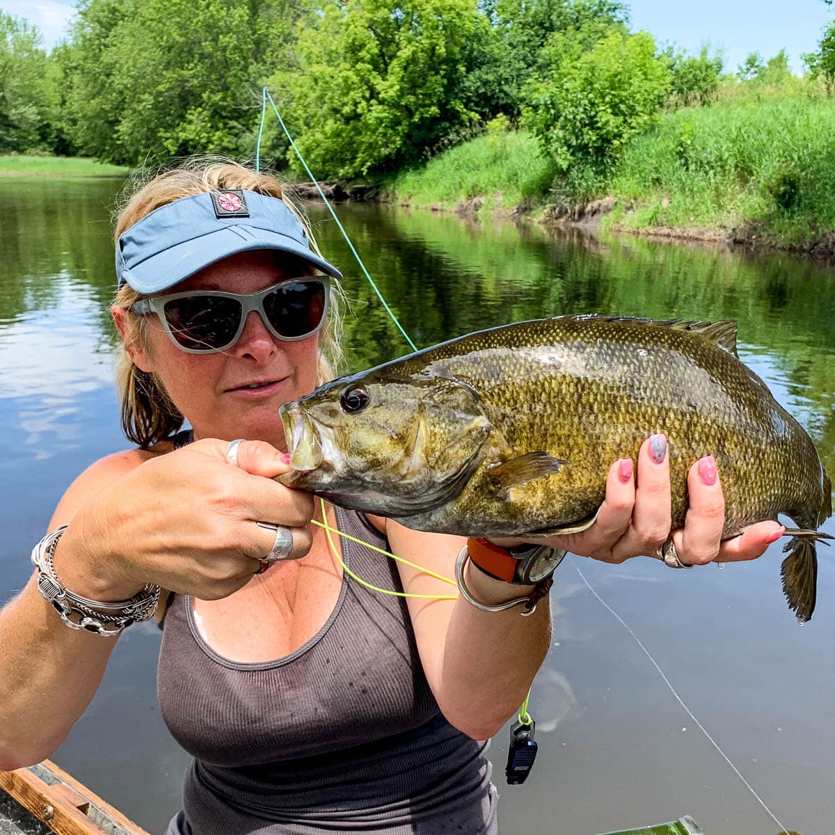 Desk Job to Dream Job