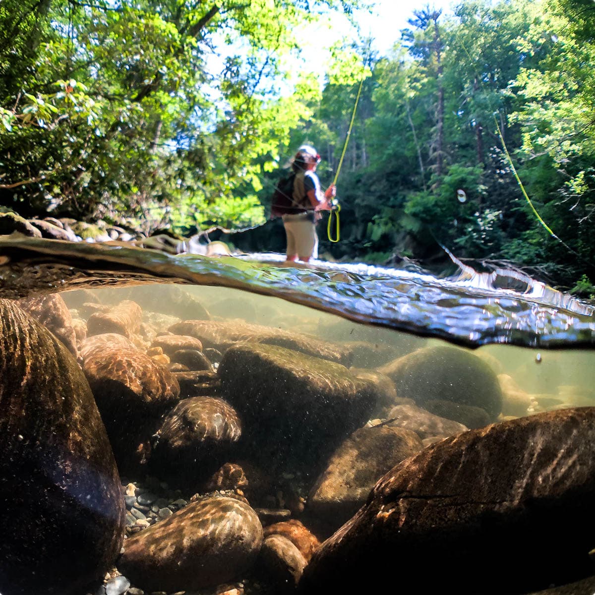 Five Reasons Fly Fishing is the New Yoga