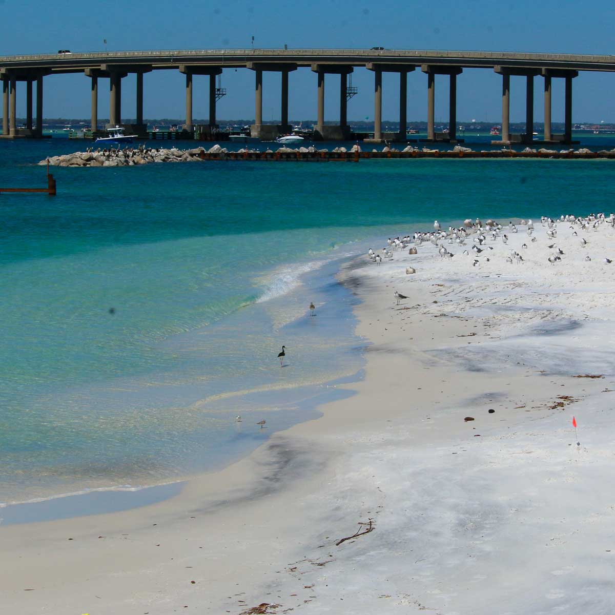 Salt. Water. Quality