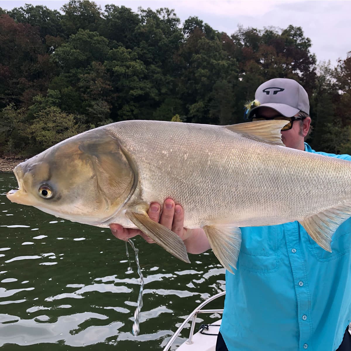 Asian Carp - Not just a local issue