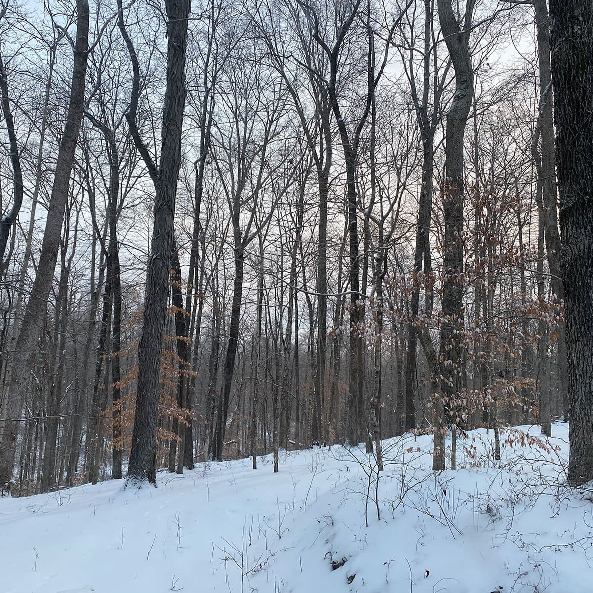 Survival of the Fittest - Or Most Prepared